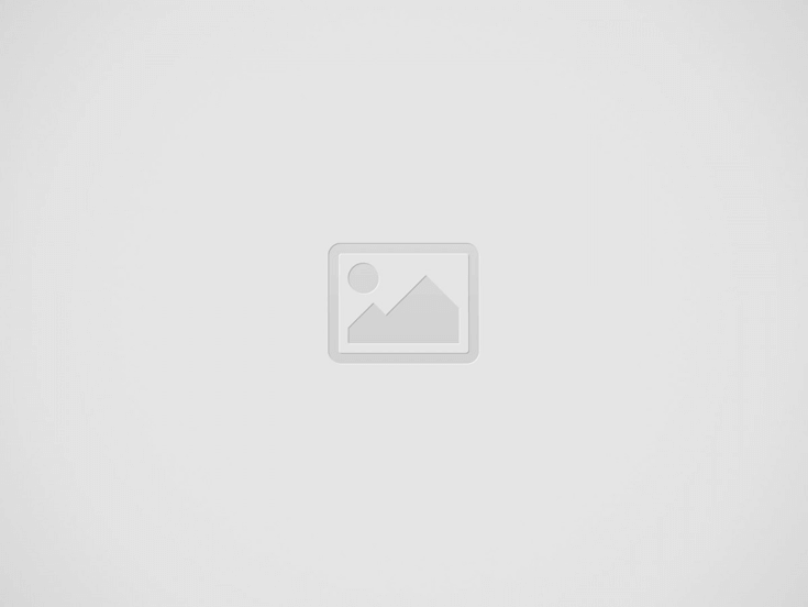 청년농업인 지원으로 성공적인 농업 비즈니스 시작하기